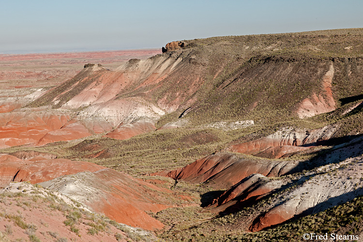 Petrified Forest National Park Painted Desert