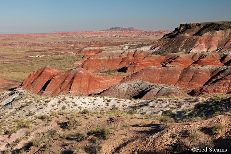 Petrified Forest National Park Painted Desert