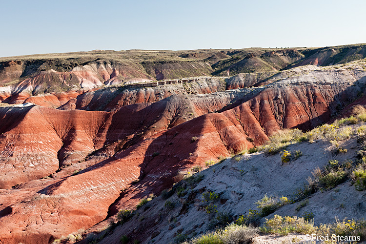 Petrified Forest National Park Painted Desert