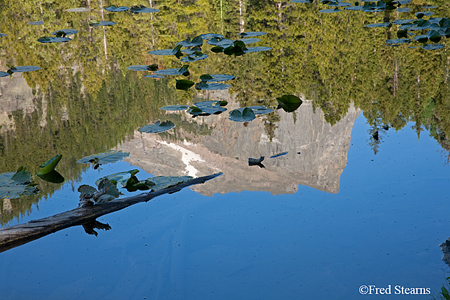 Rocky Mountain NP Hallett Peak Reflected in Nymph Lake