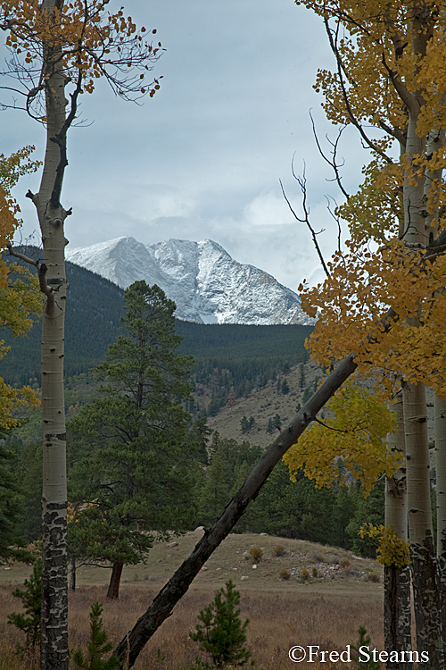 Rocky Mountain NP Horseshoe Park Mount Chiquita Ypsilon Mountain Fairchild Mountain