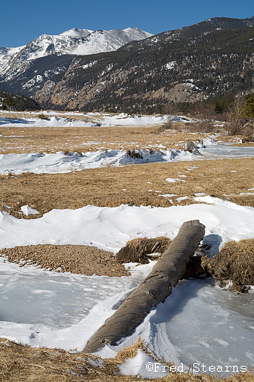 Rocky Mountain NP Moraine Park Big Thompson River