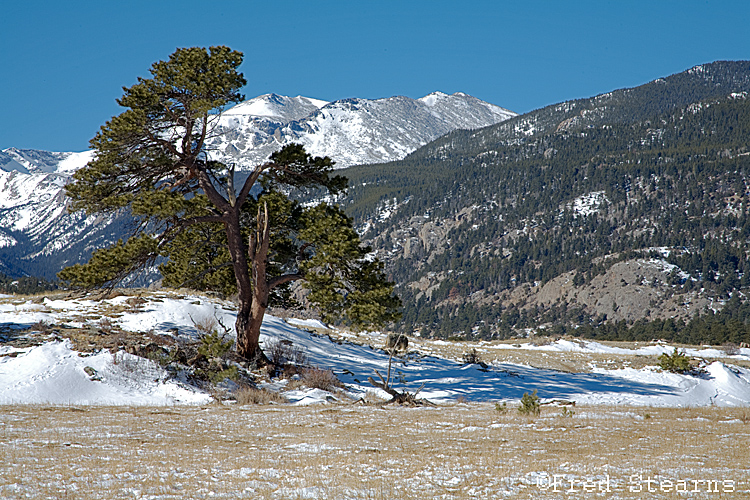 ROCKY MOUNTAIN NATIONAL PARK, MORAINE PARK - BIG THOMPSON RIVER