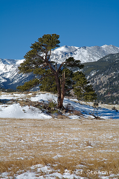 Rocky Mountain NP Moraine Park