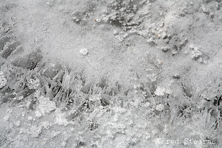 Rocky Mountain NP Moraine Park Ice Patterns Big Thompson River