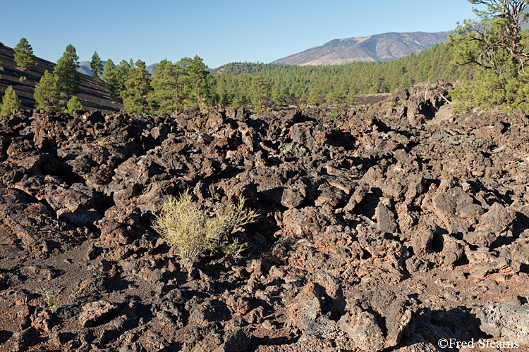 Sunset Crater Volcano National Monument Lava Flow Trail