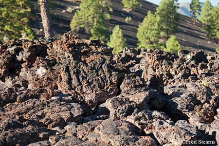 Dunset Crater National Monument Lava Flow Trail