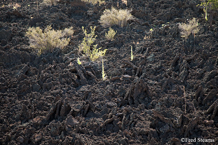 Dunset Crater National Monument Lava Flow Trail