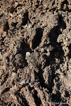 Dunset Crater National Monument Lava Flow Trail