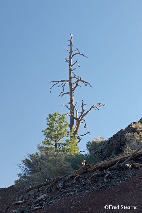 Sunset Crater Volcano National Monument Lava Flow Trail