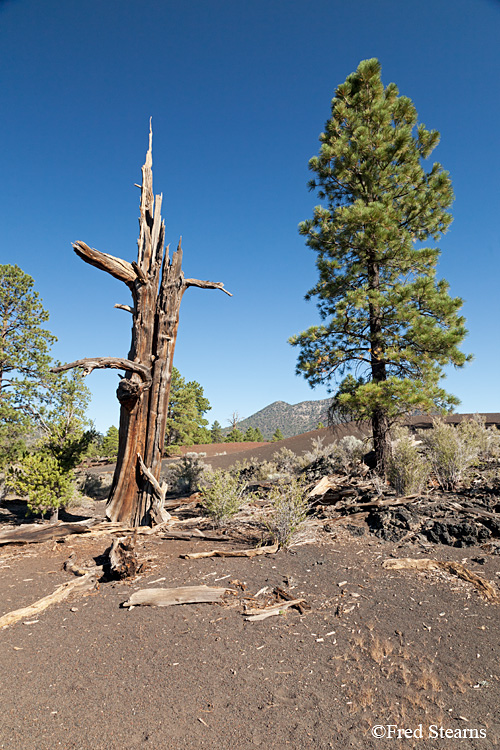 Sunset Crater Volcano National Monument Lava Flow Trail