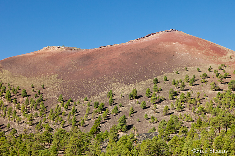 Sunset Crater Volcano National Monument Lava Flow Trail