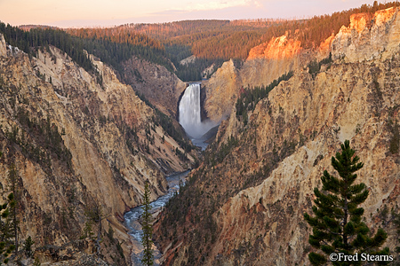 Yellowstone NP Lower Yellowstone Falls