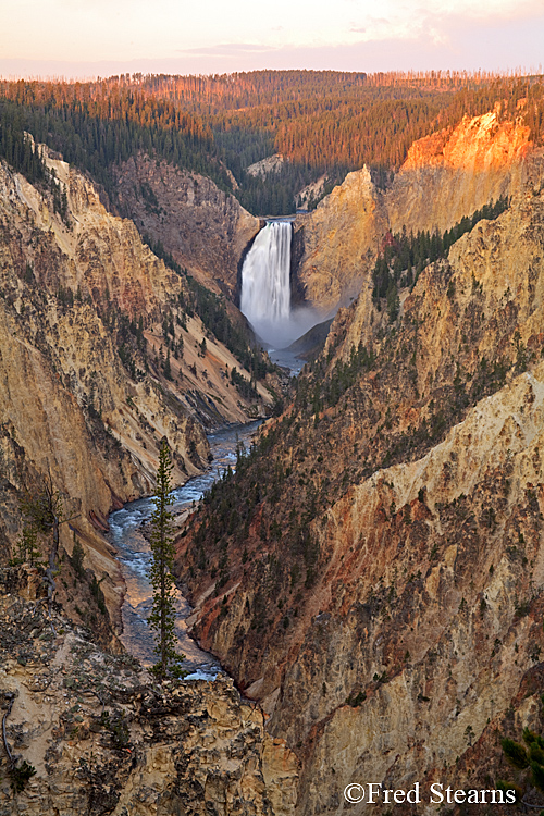 YELLOWSTONE NATIONAL PARK - ARTIST POINT - OLD FAITHFUL - STEARNS