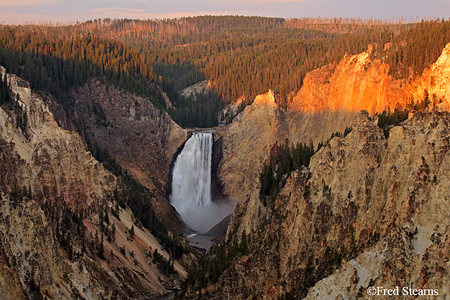 Yellowstone NP Lower Yellowstone Falls