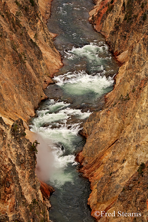 Yellowstone NP Lower Yellowstone Falls