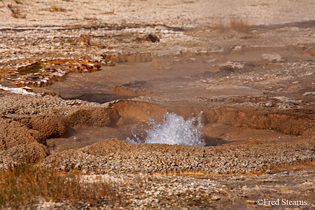 Yellowstone NP Black Sand Basin