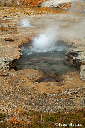 Yellowstone NP Black Sand Basin