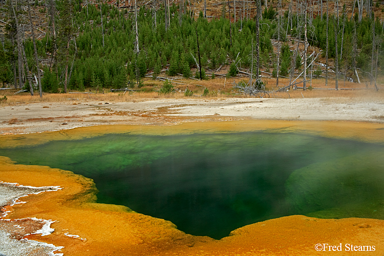 Yellowstone NP Black Sand Basin