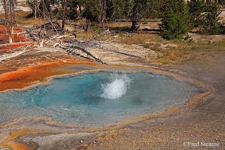 Yellowstone NP Firehole Lake Drive