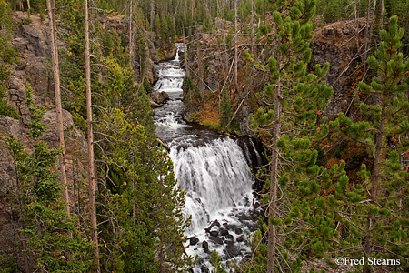 Yellowstone NP Firehole River