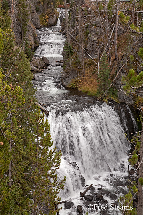 Yellowstone NP Firehole River