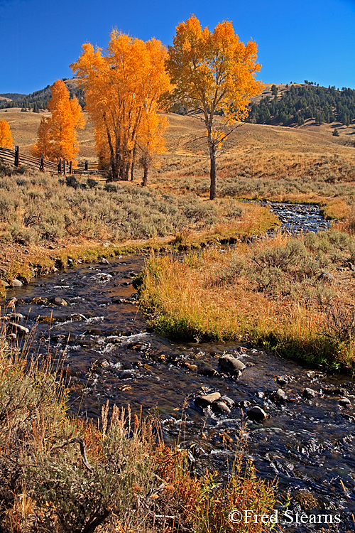 Yellowstone NP Lamar Valley