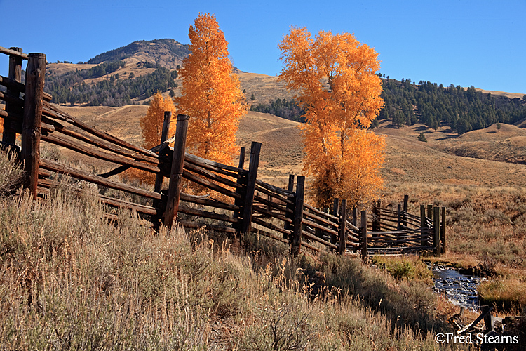 Yellowstone NP Lamar Valley