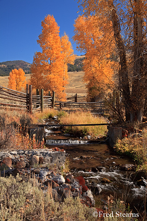 Yellowstone NP Lamar Valley