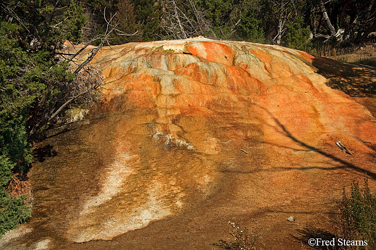 Yellowstone NP Mammoth Hot Springs