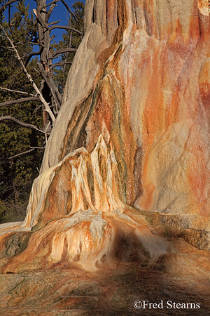 Yellowstone NP Mammoth Hot Springs