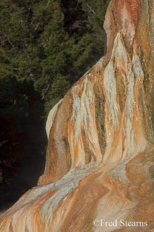 Yellowstone NP Mammoth Hot Springs