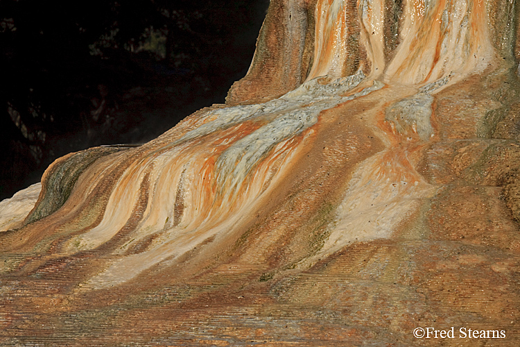 Yellowstone NP Mammoth Hot Springs