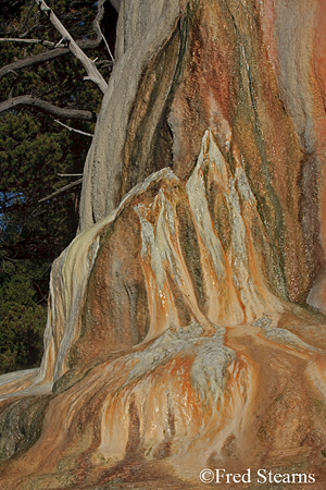 Yellowstone NP Mammoth Hot Springs