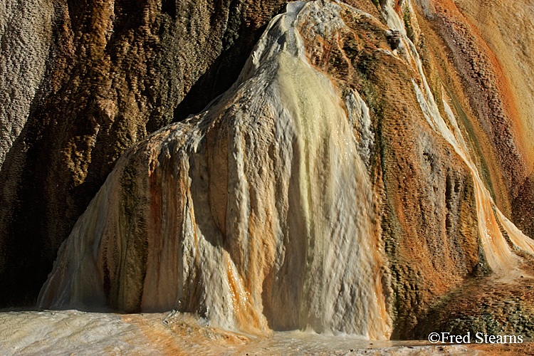 Yellowstone NP Mammoth Hot Springs