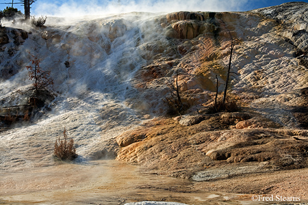 Yellowstone NP Mammoth Hot Springs