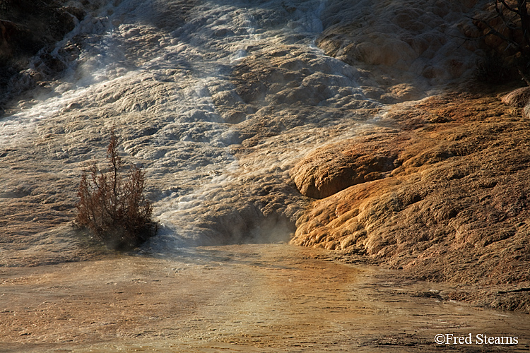 Yellowstone NP Mammoth Hot Springs