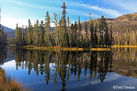 Yellowstone National Park