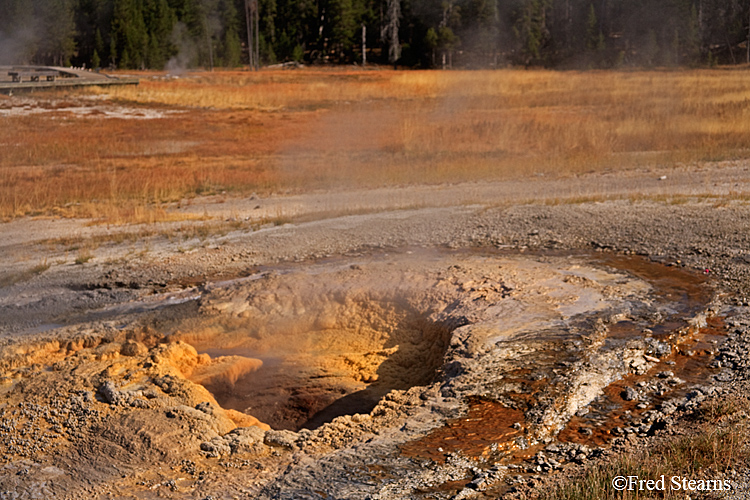 Yellowstone NP Upper Geyser Basin