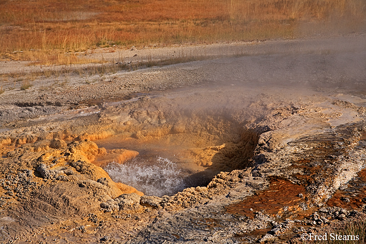 Yellowstone NP Upper Geyser Basin