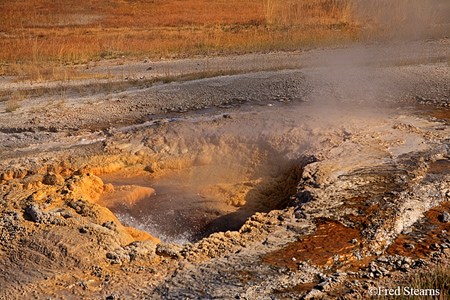 Yellowstone NP Aurum Geyser Eruption