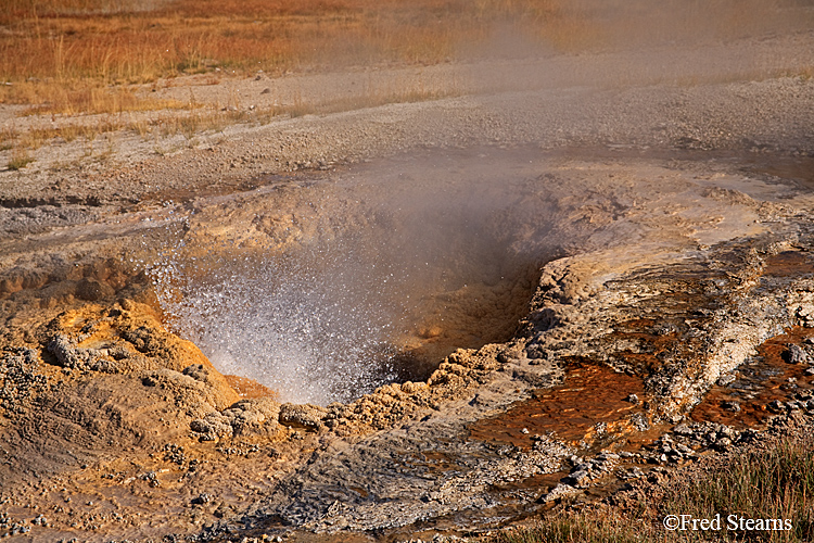 Yellowstone NP Upper Geyser Basin