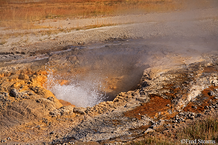 Yellowstone NP Upper Geyser Basin