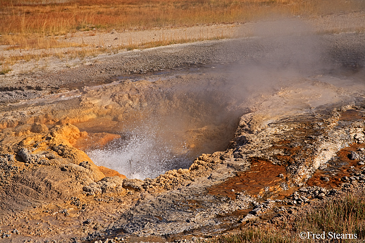 Yellowstone NP Upper Geyser Basin