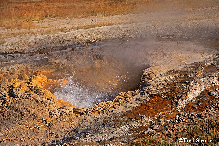 Yellowstone NP Upper Geyser Basin