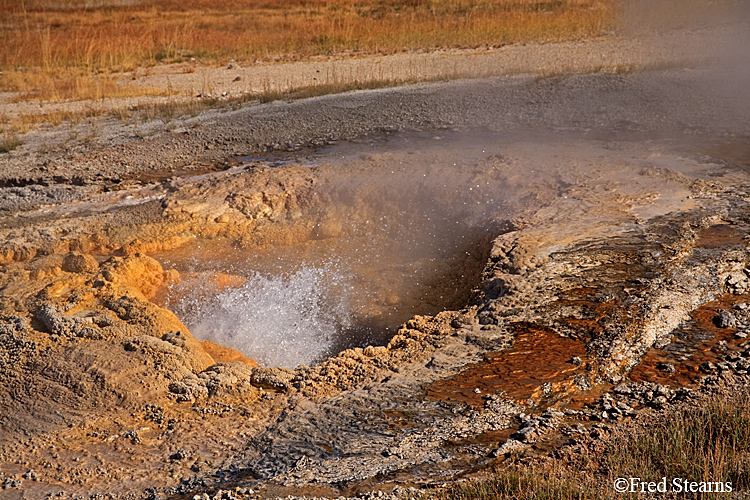 Yellowstone NP Upper Geyser Basin