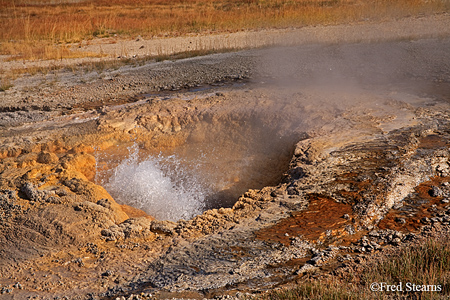 Yellowstone NP Aurum Geyser Eruption