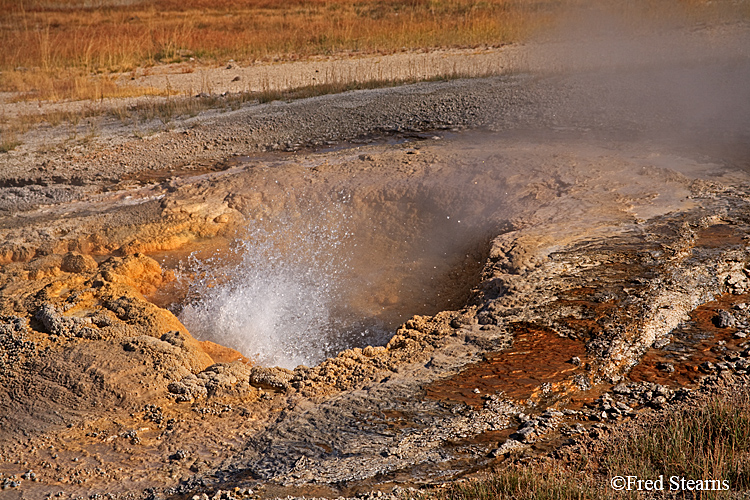 Yellowstone NP Upper Geyser Basin