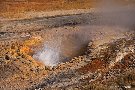 Yellowstone NP Aurum Geyser Eruption