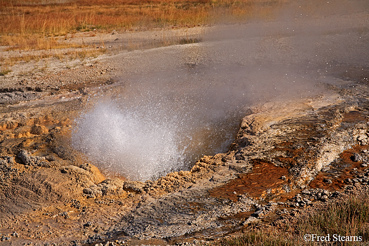 Yellowstone NP Upper Geyser Basin